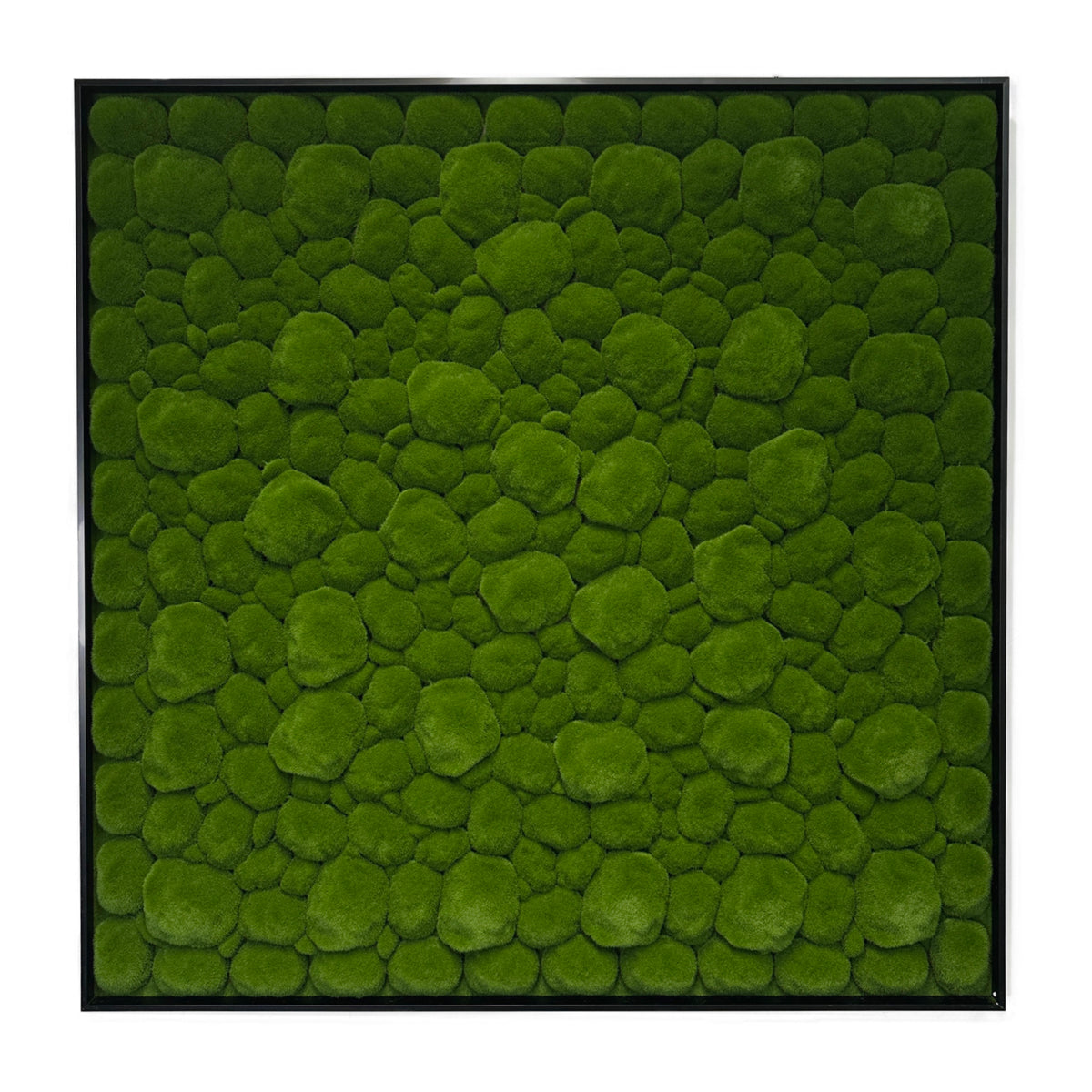 Artificial moss wall panel square with dense green moss texture inside black frame