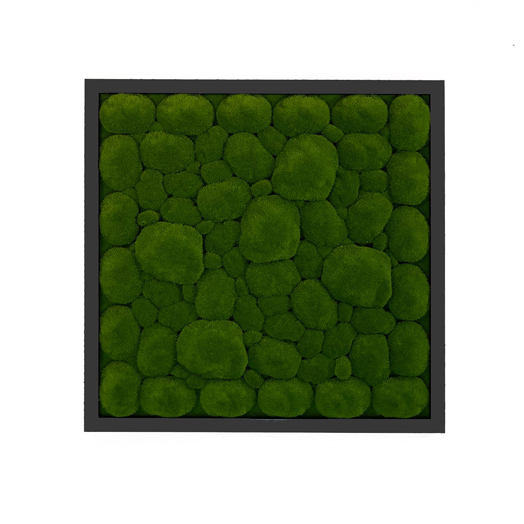 Artificial bun moss wall square art panel black mdf - 50cm