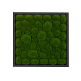 Artificial bun moss wall square art panel black mdf - 50cm