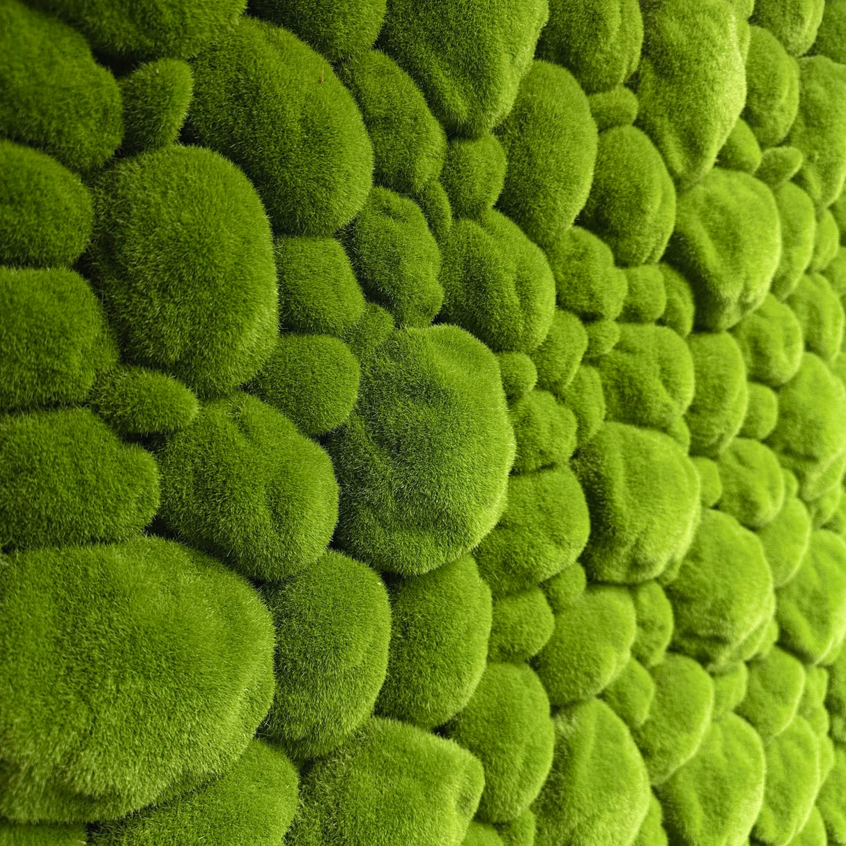 Artificial bun moss wall square art panel black aluminium - 100x100cm