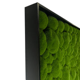 Artificial bun moss wall square art panel black aluminium - 100x100cm
