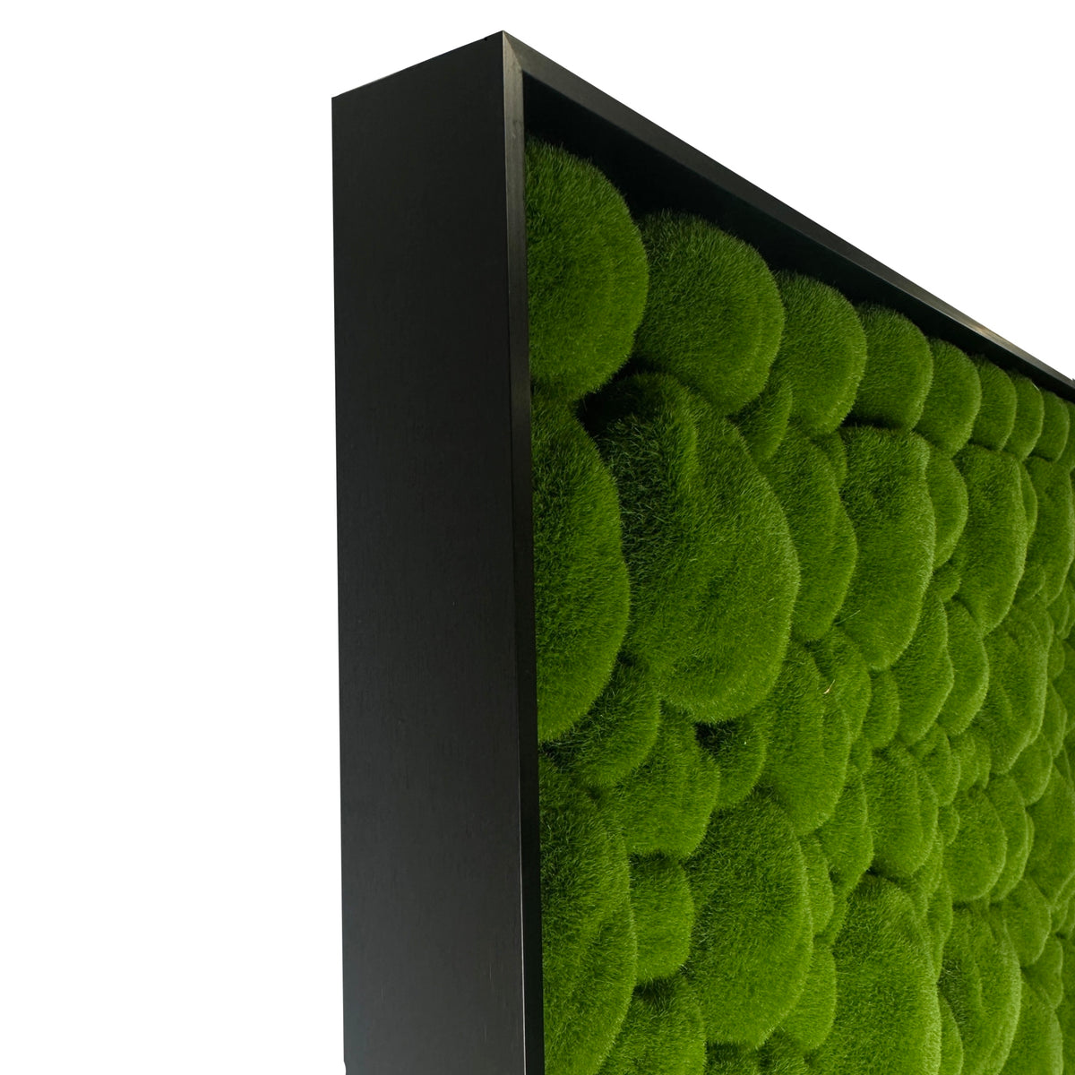 Artificial moss wall panel in black aluminium frame, side view with dense green texture