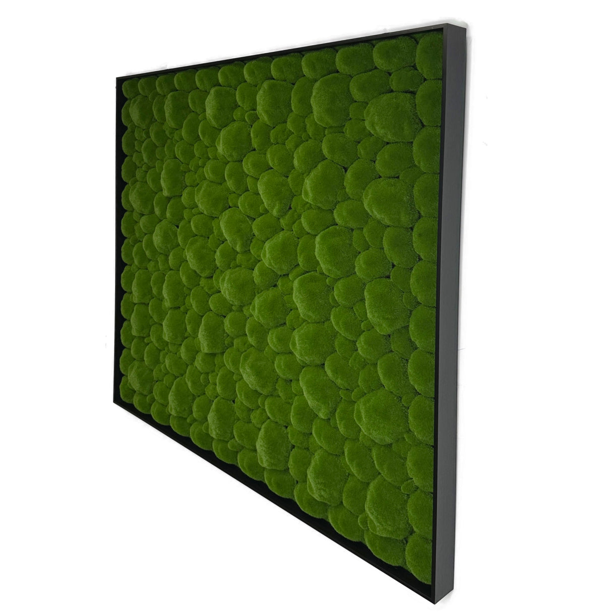 Artificial bun moss wall square art panel black aluminium - 100x100cm