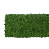 Preserved reindeer moss wall - forest green 0.5 x 3m self adhesive back