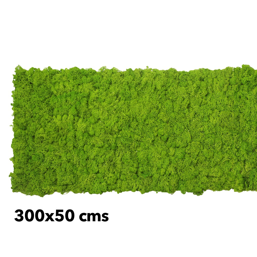 Bright green reindeer moss panel, 300x50 cm