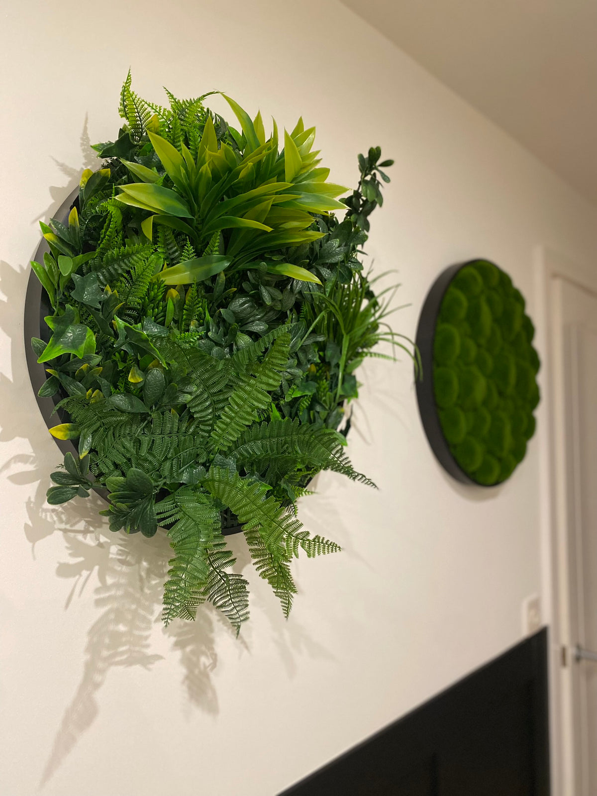 Circular moss wall panel with dark green bun texture and black rim on white wall.