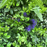 Artificial green wall panel with scheffleras, dracaenas and purple speedwells 100x100 cm flowers
