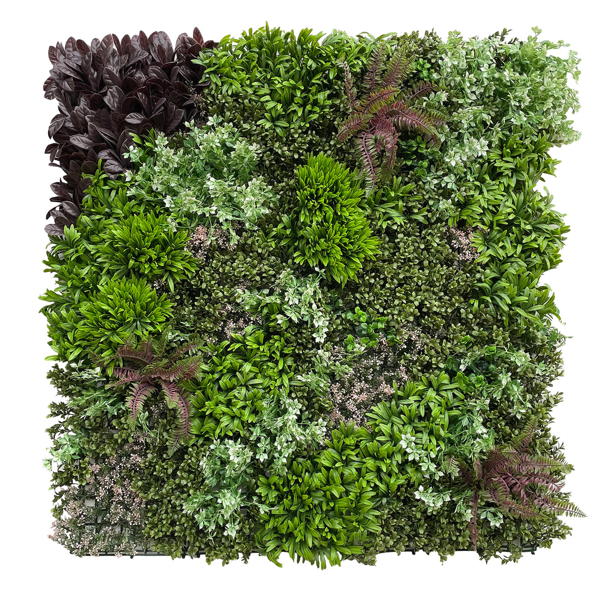 Artificial green wall panel with mixed green, burgundy and white tippe ...
