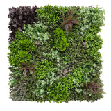 gw47 Artificial green wall panel with mixed green, burgundy and white tipped trailing plants 100x100 cm