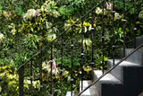 Artificial green wall panel with variegated foliage ivy palms grasses and ferns