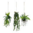 Artificial trailing pheasant tail fern kokedama, set of three kokedamas 