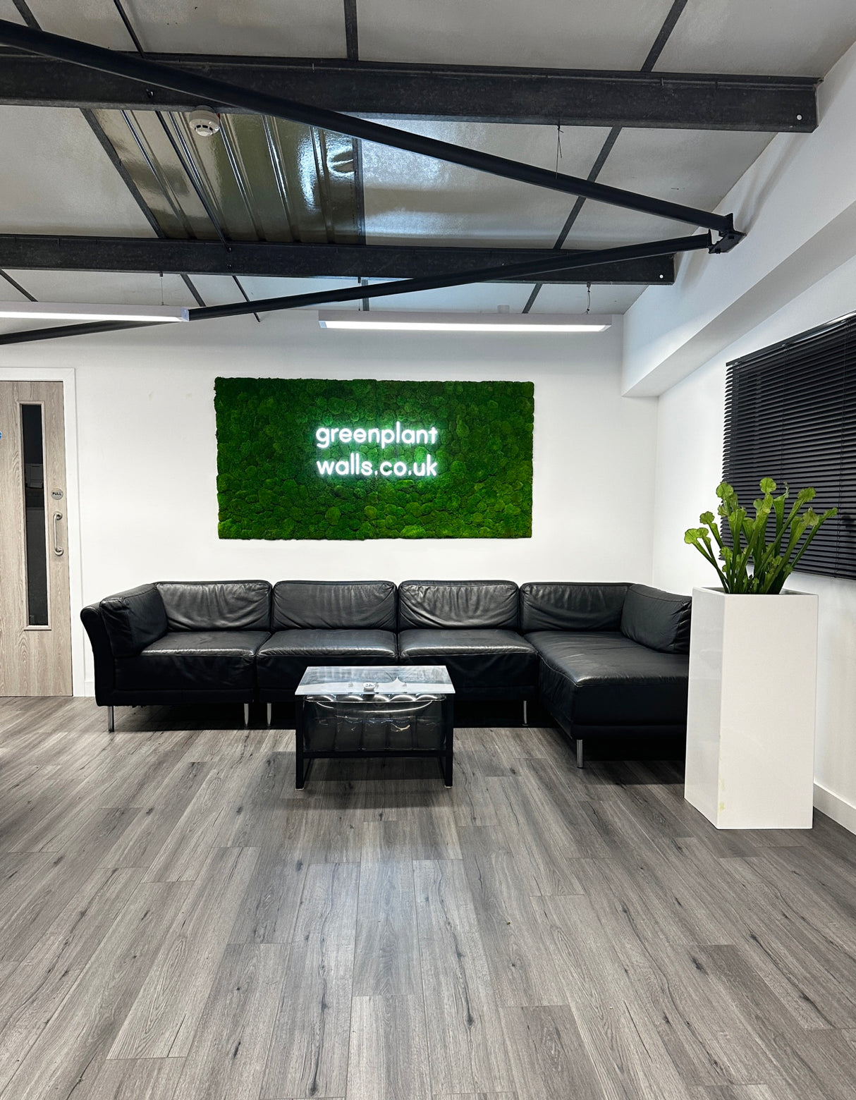 Preserved reindeer moss panel - light green 0.5 x 3m self adhesive back