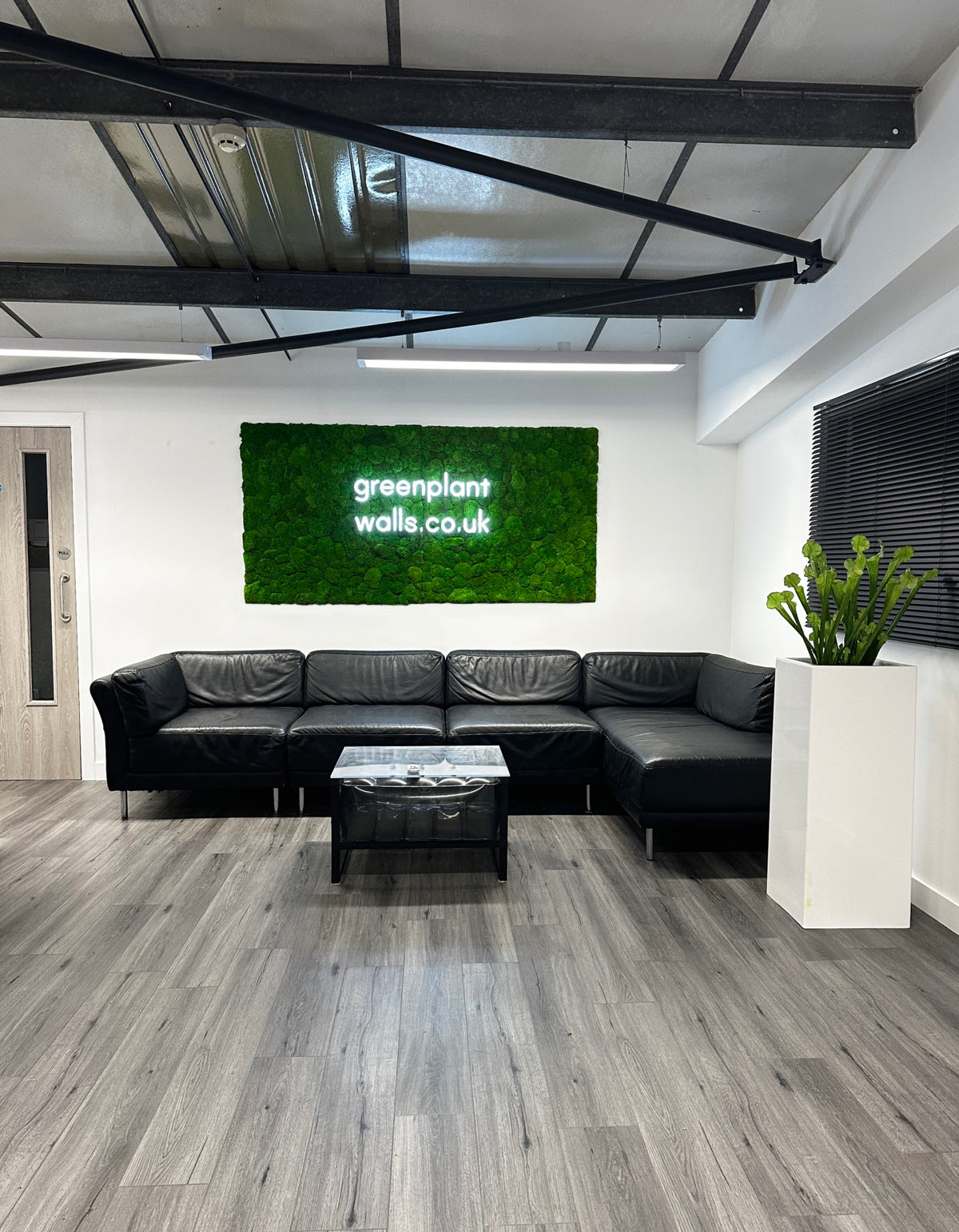Forest green moss wall installed in an indoor lounge with a black sofa
