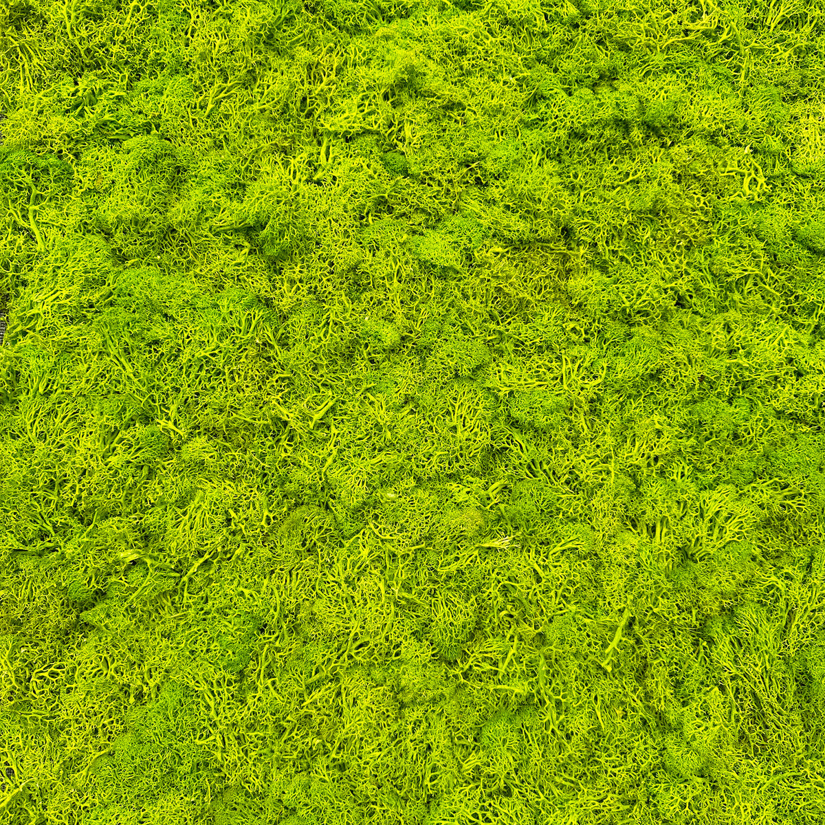 Bright green reindeer moss panel with dense textured surface