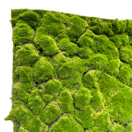 LUMPY BUN Artificial green lumpy bun moss panel 1m x 2m