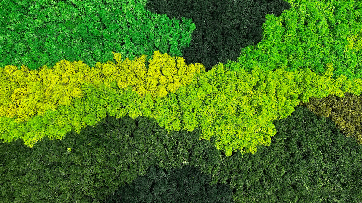 Moss Cladding Preserved moss installation guide – greenplantwalls.co.uk