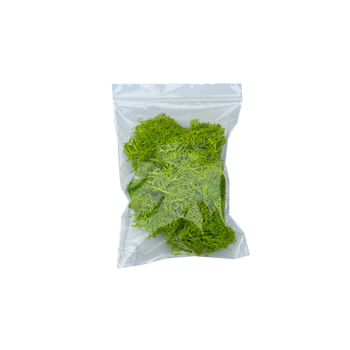 Light green reindeer moss pieces in sealed plastic bag