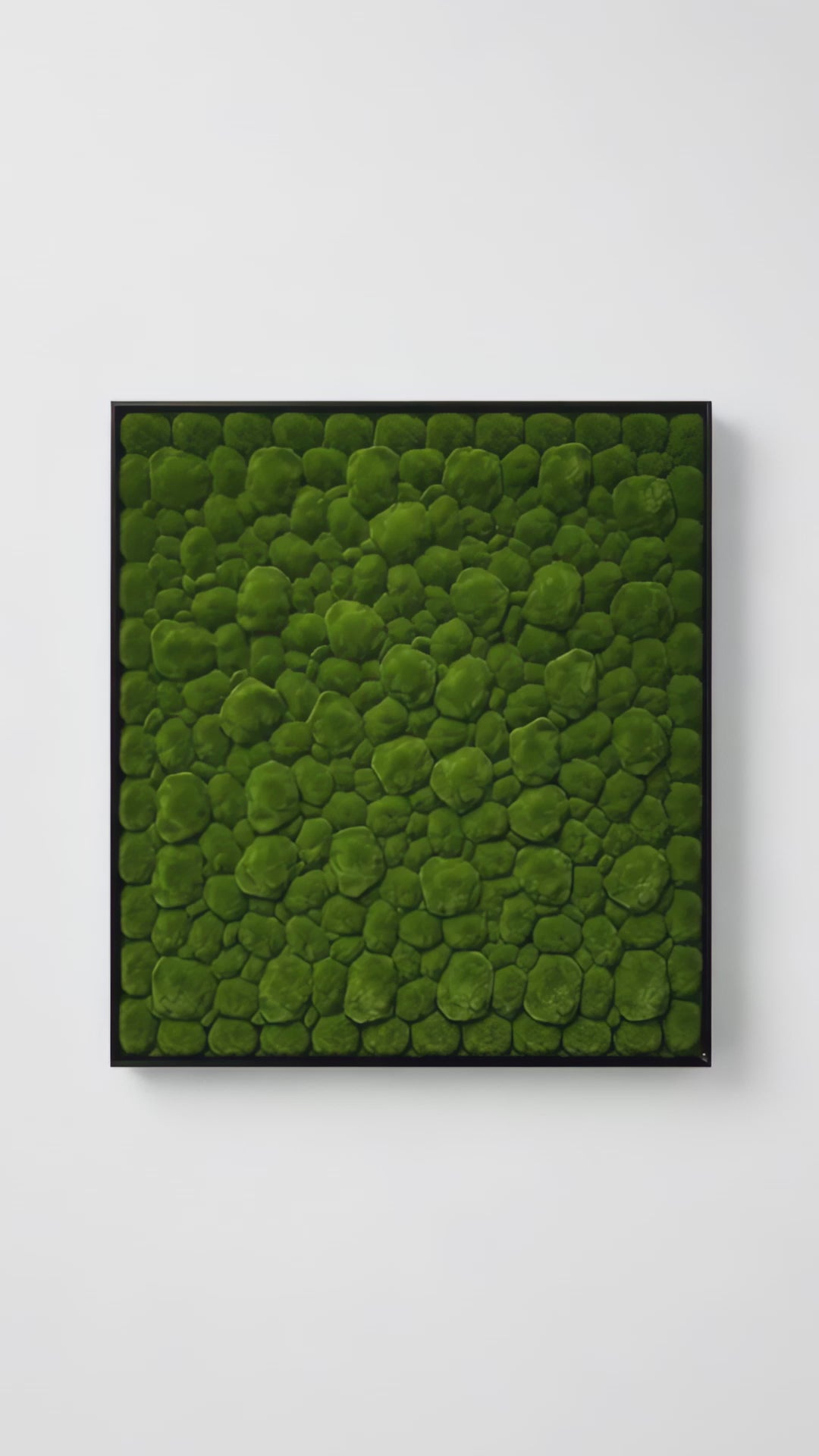 Artificial bun moss wall square art panel black aluminium - 100x100cm