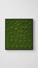 Artificial bun moss wall square art panel black aluminium - 100x100cm