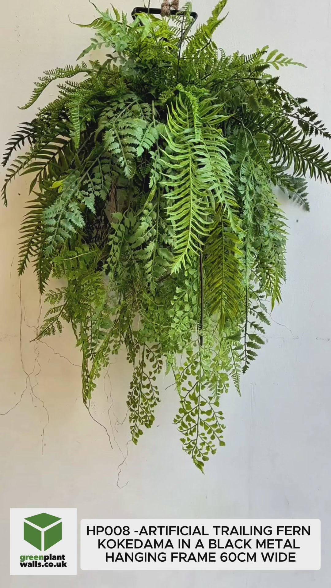Artificial trailing fern kokedama in a black metal hanging frame 60cm wide 106cm height