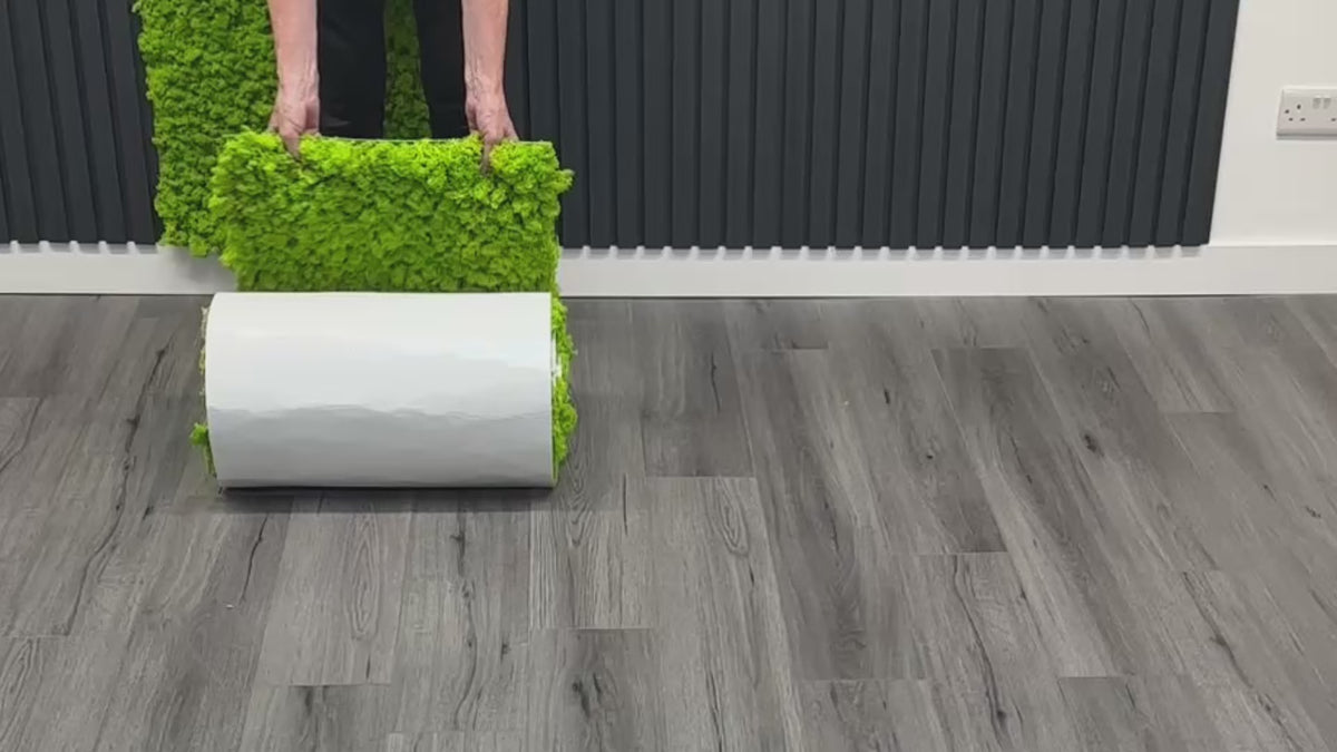 Load video: Preserved moss rolls