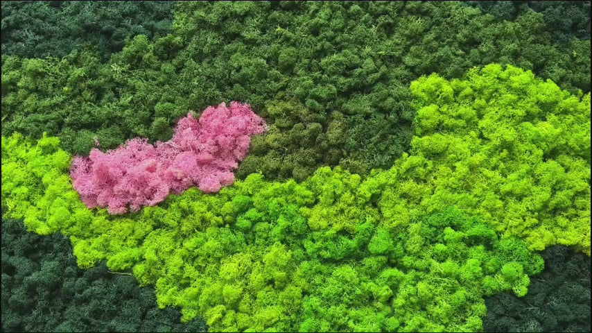 Load video: Premium preserved reindeer moss - mixed green and pink 0.5 x 3m self adhesive panel
