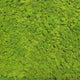 Premium preserved FR reindeer moss - light green 0.5 x 3m self adhesive panel