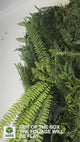 Combo of 3 x 1m2 FR artificial tropical Jungle green wall panels with green foliage
