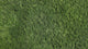 Premium preserved FR reindeer moss - Forest green 0.5 x 3m self adhesive panel