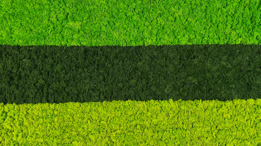 greenplantwalls.co.uk