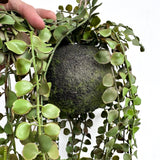 Set of 3 x artificial trailing fern kokedama