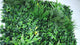 Artificial green wall panel with variegated greens of ivy, ferns, palm heads, grasses & yellow tipped privets  100x100 cm