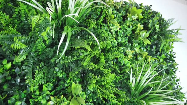 Artificial green wall panel with light and dark green ferns & grasses with yellow & white foliage 100x100 cm