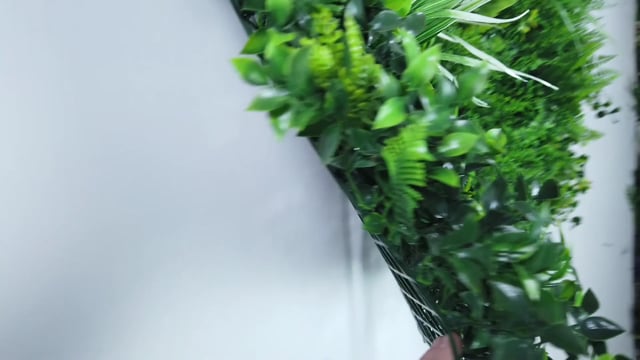 Artificial green wall panel with light and dark green ferns & grasses with yellow & white foliage 100x100 cm