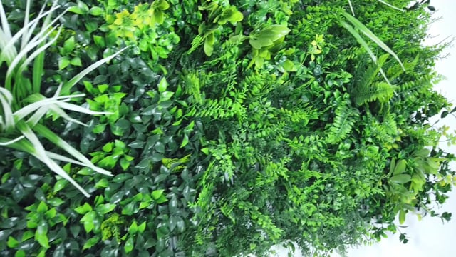 Artificial green wall panel with light and dark green ferns & grasses with yellow & white foliage 100x100 cm