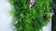 Artificial green wall panel with  ferns palms and pink flowers 100x100 cm