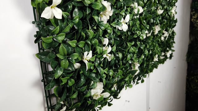 Artificial green wall panel with variegated green foliage and white gardenia  flowers 100x100 cm