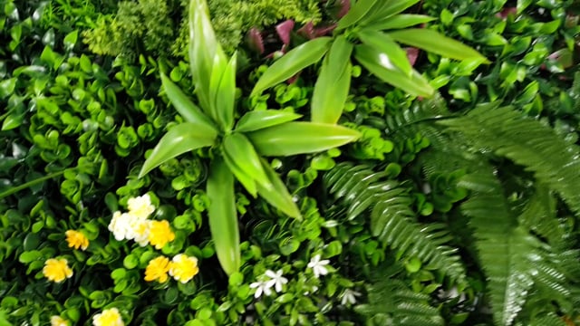 Artificial green wall panel with variegated mixed greens, red , white and yellow flowers  100x100 cm