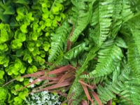 Artificial green wall panel with mixed green orange red and white foliage, white and yellow flowers 100x100 cm