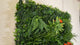 Artificial Tropical green wall with orange Dahlias 100x100 cm