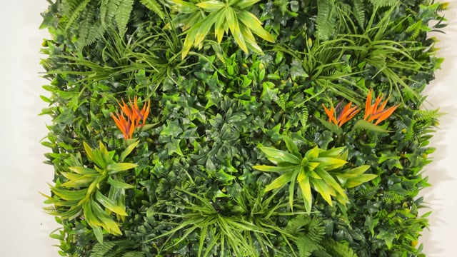 Artificial Tropical green wall with Birds of Paradise 100x100 cm