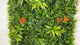 Artificial Tropical green wall with Birds of Paradise 100x100 cm