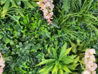 Artificial green wall panel with variegated foliage and pink trailing wisteria 100x100 cm