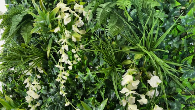 Artificial green wall panel with variegated foliage and white trailing sweet peas 100x100 cm