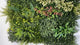 Artificial green wall panel with variegated mixed green yellow red white foliage  100x100 cm