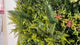 Artificial green wall panel with variegated mixed green yellow red white foliage  100x100 cm
