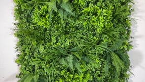 Artificial green wall panel with mixed 3d light-dark green foliage with scheffleras 100x100 cm
