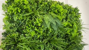 Artificial green wall panel with mixed 3d light-dark green foliage with scheffleras 100x100 cm