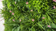 Artificial green wall panel with mixed 3d light-dark green foliage with scheffleras & pink flowers  100x100 cm