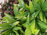 Artificial green wall panel with mixed green & yellow foliage & purple-red leaves 100x100 cm